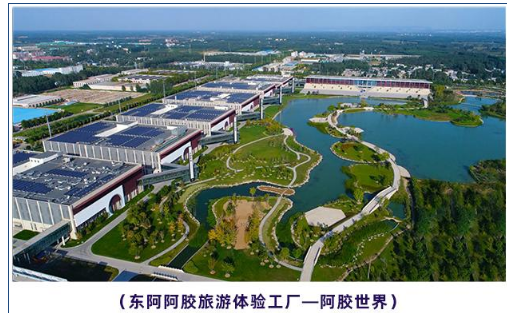 九州定位原东阿阿胶游学招生资料中的参访配图