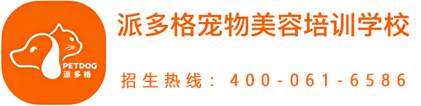 派多格宠物美容培训学校