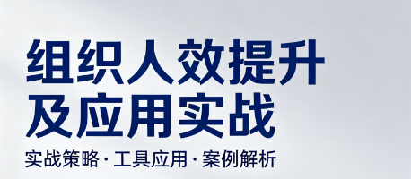组织人效提升及应用实战原课程资料图