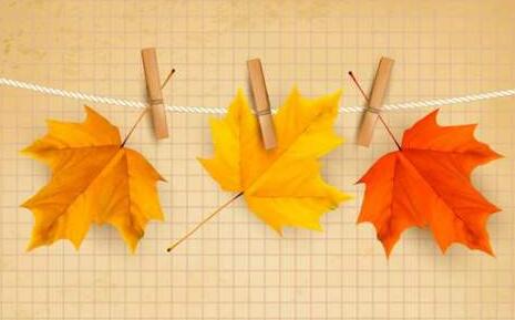 卓越企业家总裁班怎么样？