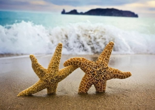 工商管理总裁班背景是什么？