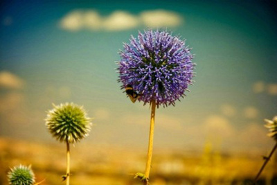 工商管理总裁班学费高吗？