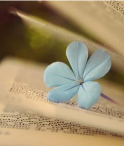 昆明医科大学在职研究生招生动态