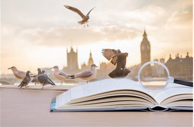 天津大学在职研究生的录取条件是什么呢？