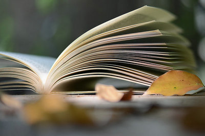 想要进修在职博士要提交什么材料