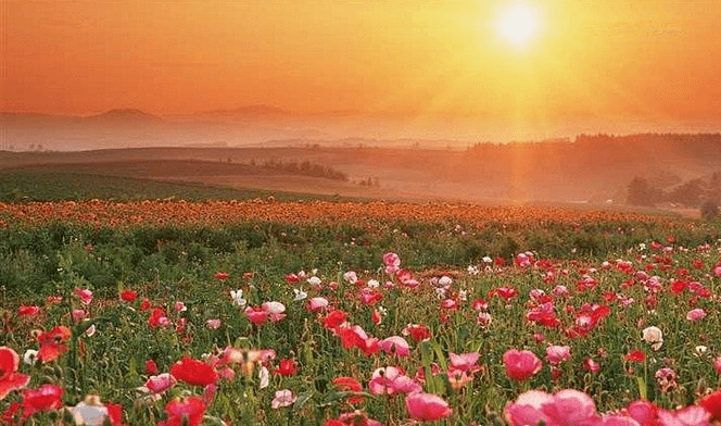 在职博士申请条件？