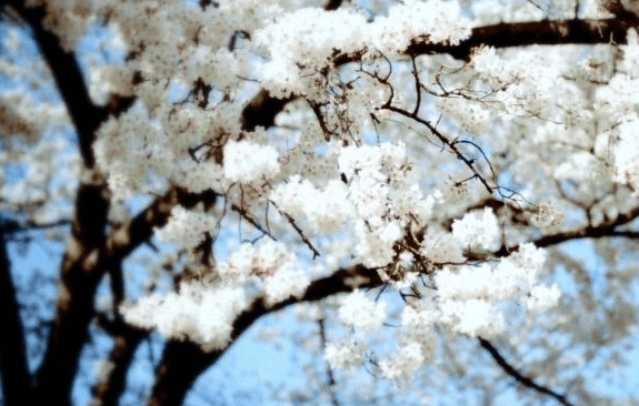 北师大管理哲学班招生对象？