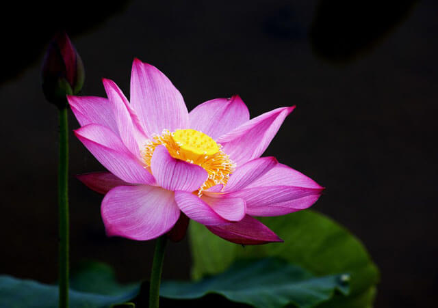 能否跨专业报考清大高级研修班呢？