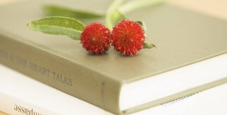 标杆商业地产EMBA实战班报考价值体现在哪里？