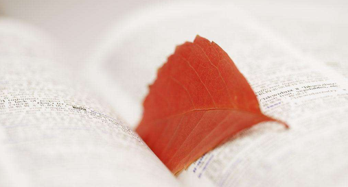 北大企业素养班报考流程详情