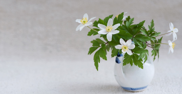 北大新营销研修班的课程价值体现在哪里？