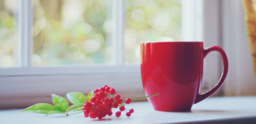 史学大讲堂有哪些课程特点？