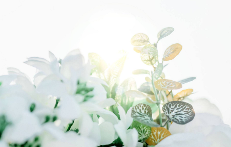 北大金融投资研修班含金量高么？