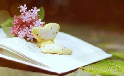 政经研修班有哪些吸引人的优势?