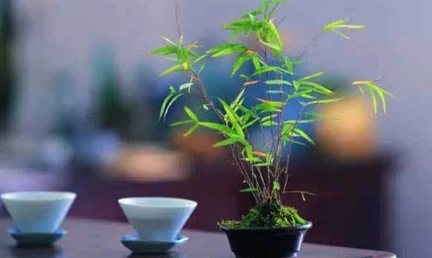 佛学精读班的教学形式是怎样的？