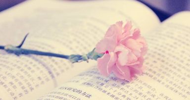 北大工商管理文化班带给学员哪些收获？