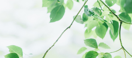 如何报读湖南大学工商管理研修班？