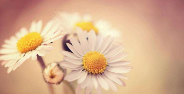 湖南大学总裁班有哪些值得选择的地方?