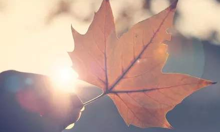 湖南大学研修班学费贵吗?