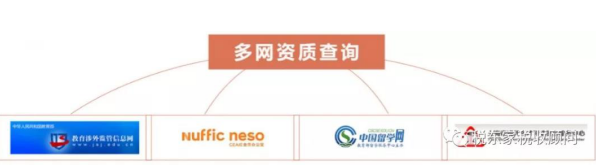 荷兰商学院财税研究院财税MBA项目