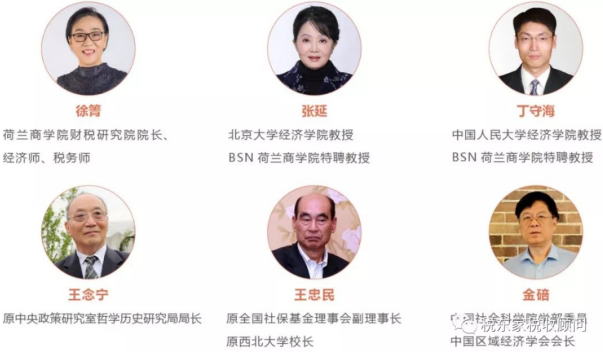 荷兰商学院财税研究院财税MBA项目