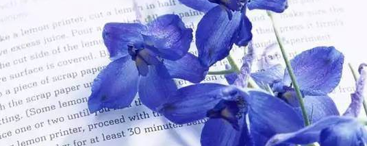 报考上海财经大学在职研究生的好处有哪些？