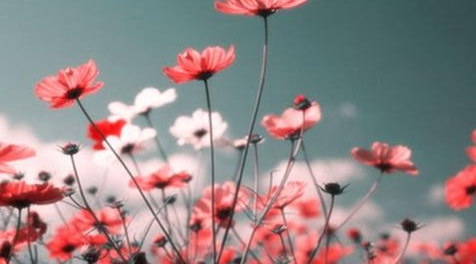 进修山东大学在职研究生是否会影响工作？