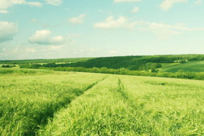 二级心理咨询师报名条件有哪些？