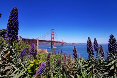 湖南大学研修班有哪些特色呢?