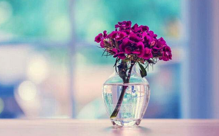 南开大学金融学在职研(经济学硕士申硕)申硕条件是什么