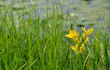 南昌大学在职研究生的报考时间是哪天呢？