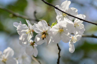 南开大学在职研有同等学力申硕的相关课程吗？