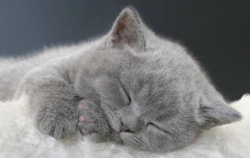 中国人民大学在职研究生到底怎么样呢？