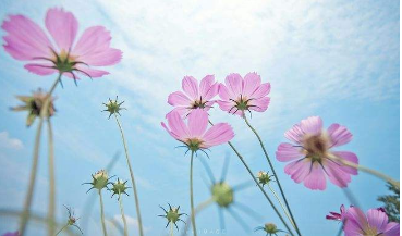 攻读中国人民大学在职研究生的学费是多少？