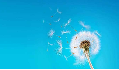 人大开设的在职研究生课程要学多久？