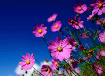 中国人民大学在职研究生考试难吗？