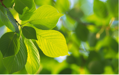 报考人民大学同等学力申硕课程难吗？