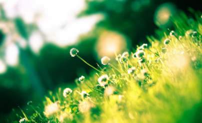 中国人民大学在职研究生的报考方式是什么