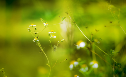 中国社会科学院在职研究生硕士研修班值得学习吗？