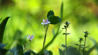 想报考中国社会科学院在职研究生有哪些条件呢？
