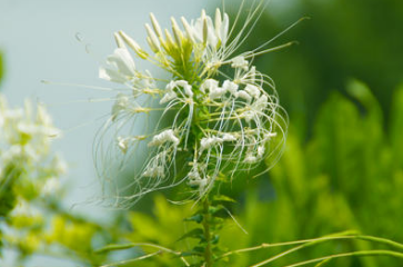 社科院在职研课程班值得报考的优势是什么？