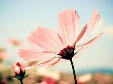 中国政法大学在职博士课程有哪些呢？