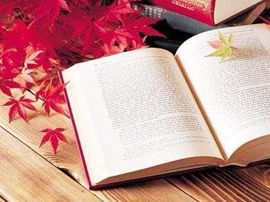 政法大学有专业硕士类型的在职研究生课程班吗？