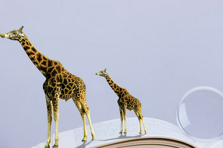 报名北大学金融与投资研修班会颁发证书吗？