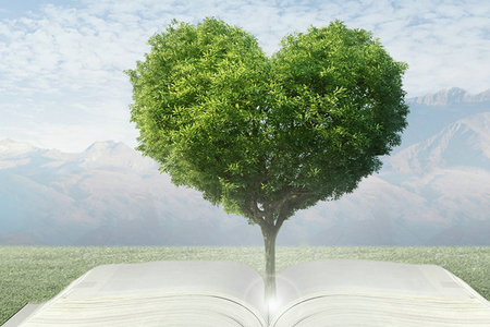 北师大国学博士课程研修班课程有哪些优势？