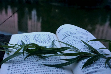 北师大学管理哲学班师资怎么样？