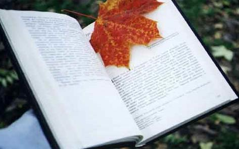 报考企业家金融与投资课程班的流程有哪些呢?