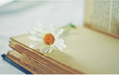 高级经理工商管理核心课程研修班有哪些特色呢?