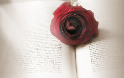 报考领导力“心”突破--管理者心理学的流程是什么?