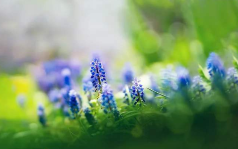 企业上市与董秘实务课程有哪些特点呢?